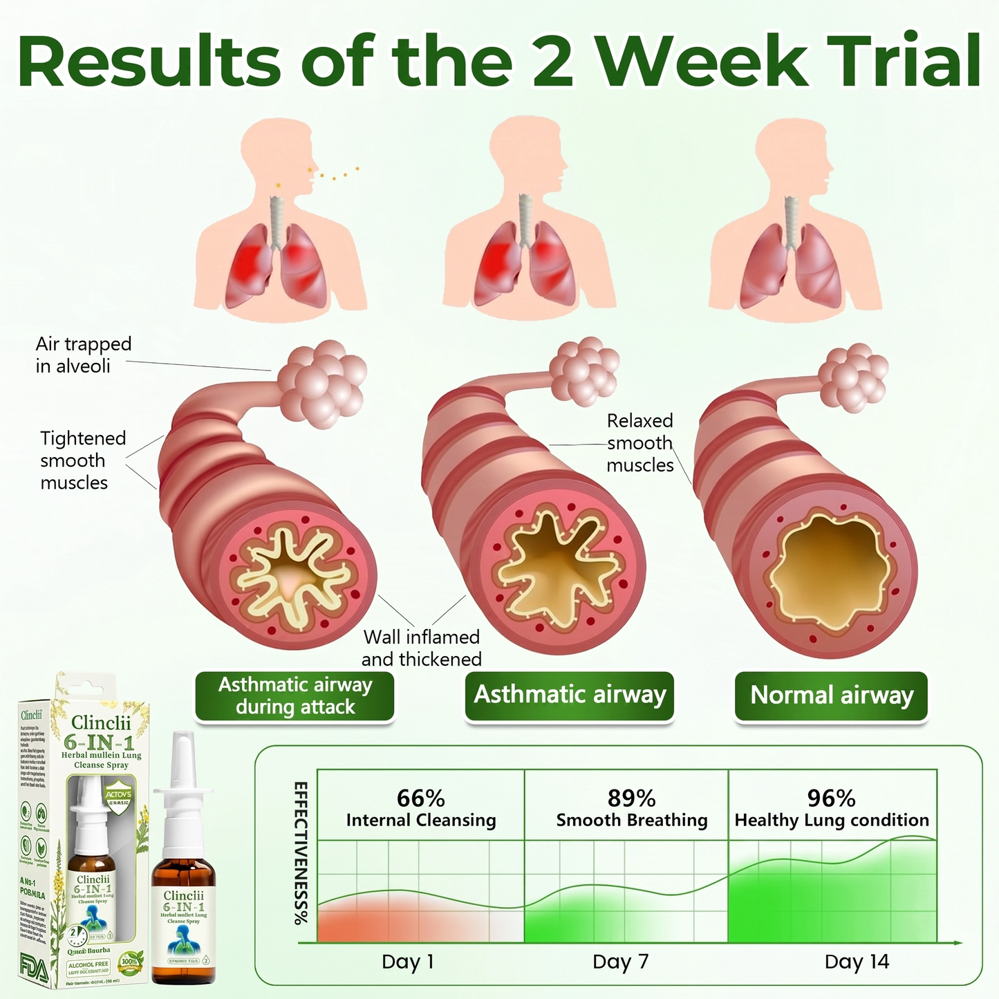 🔥Enjoy 49% OFF today--Clinclii 6-in-1 Herbal mullein Lung Cleanse Spray