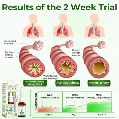 🔥Enjoy 49% OFF today--Clinclii 6-in-1 Herbal mullein Lung Cleanse Spray